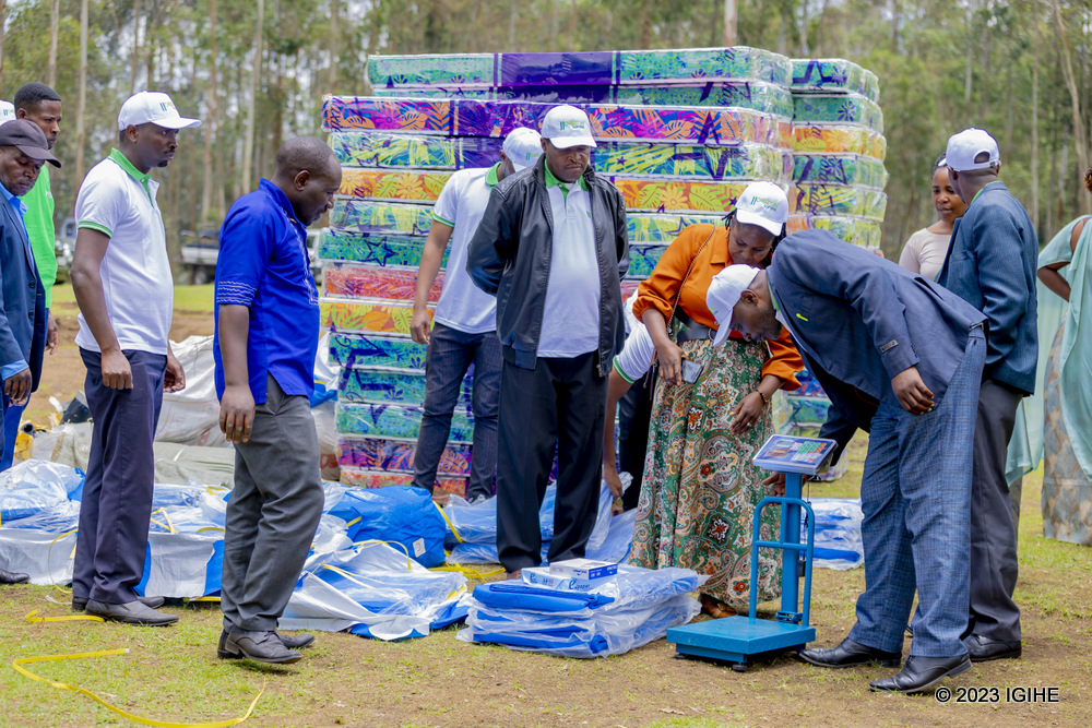 dd_30-cc76f dd_30-cc76f