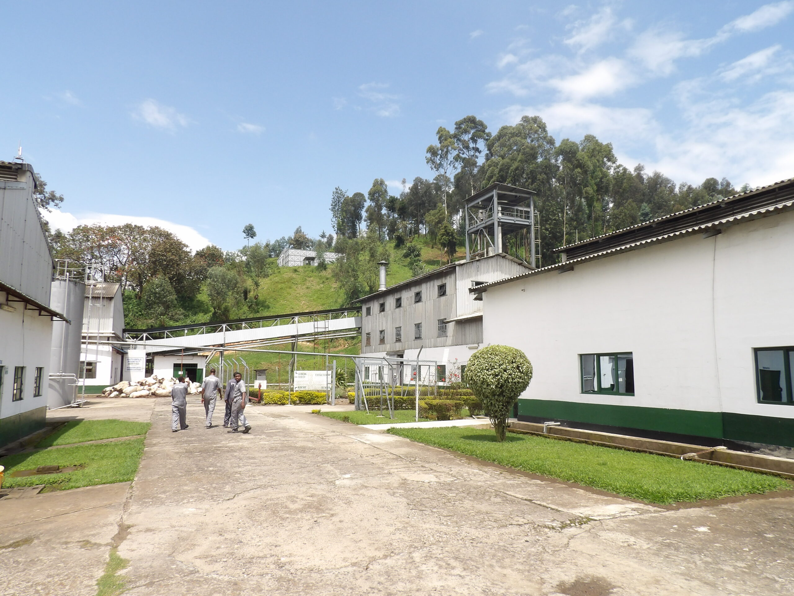 KODAK Digital Still Camera