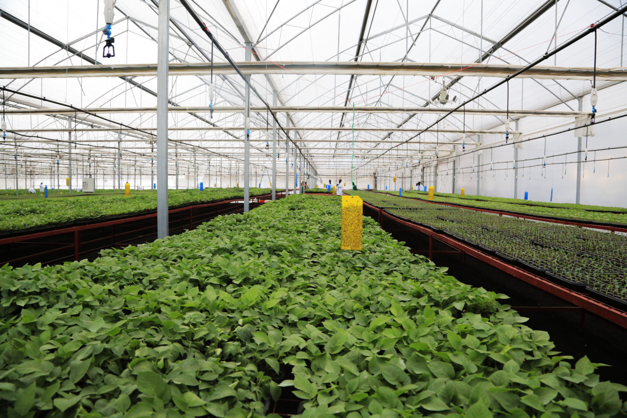 5i0a7423_39739014825_o