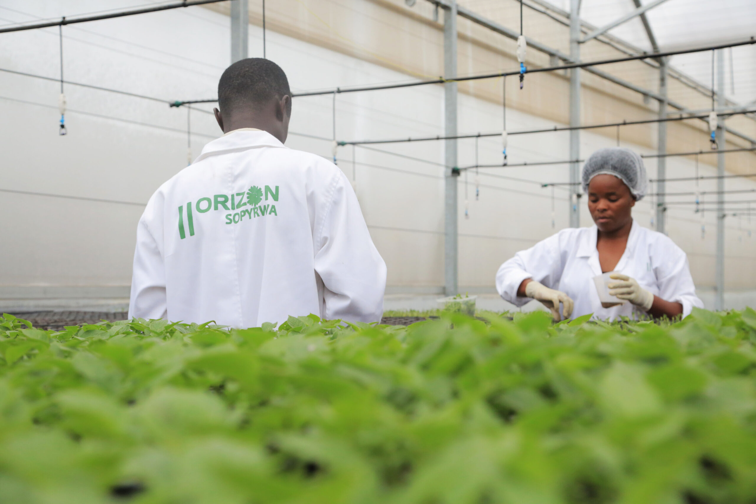 5i0a7674_38825006920_o