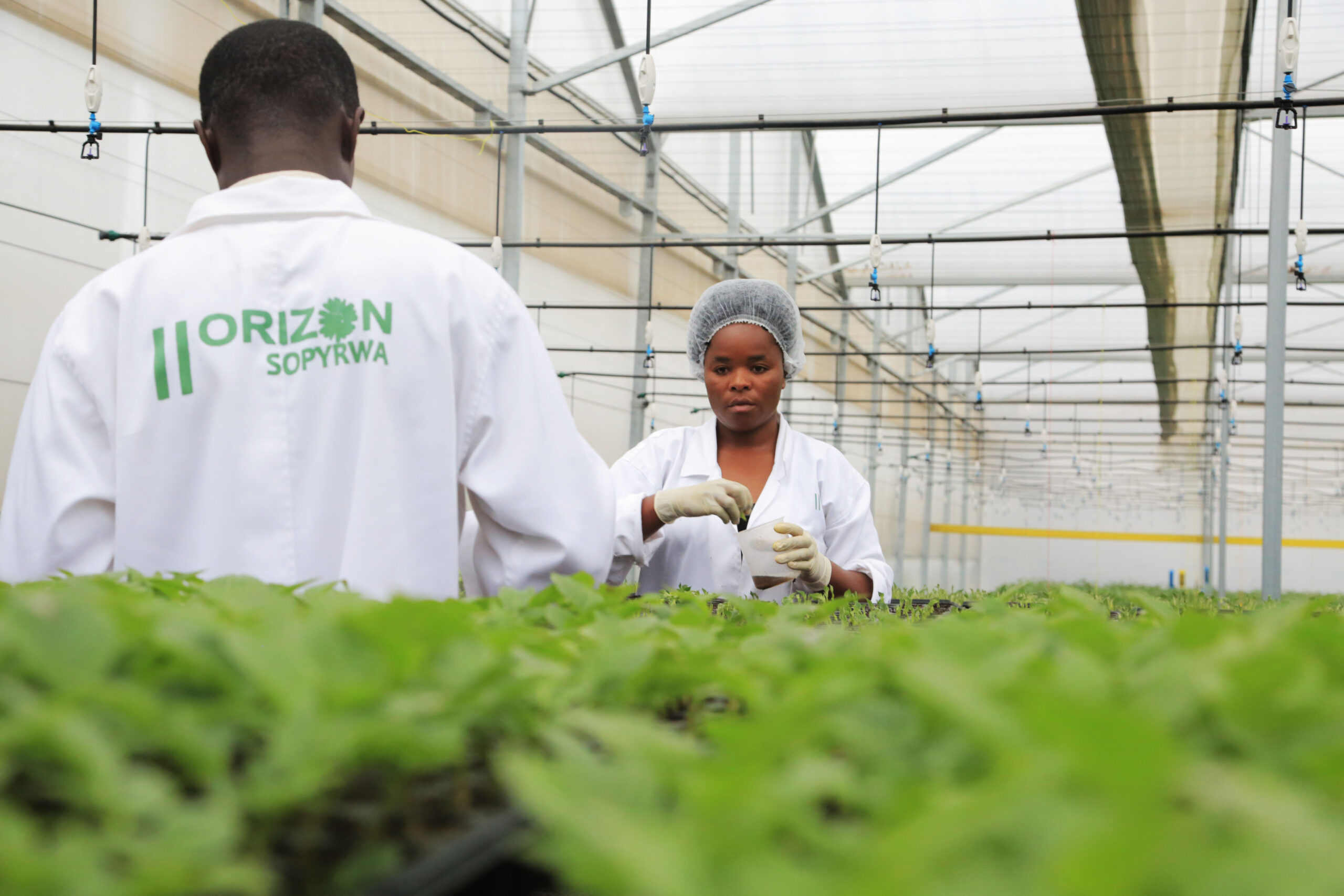 5i0a7681_40635312401_o