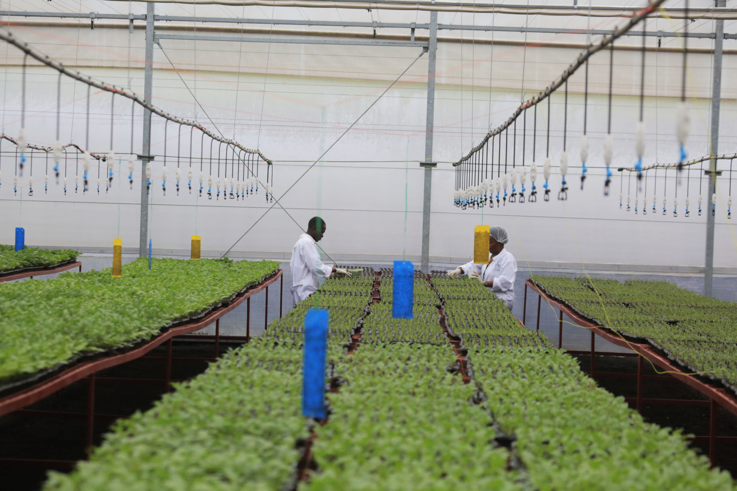 5i0a7745_38824982960_o