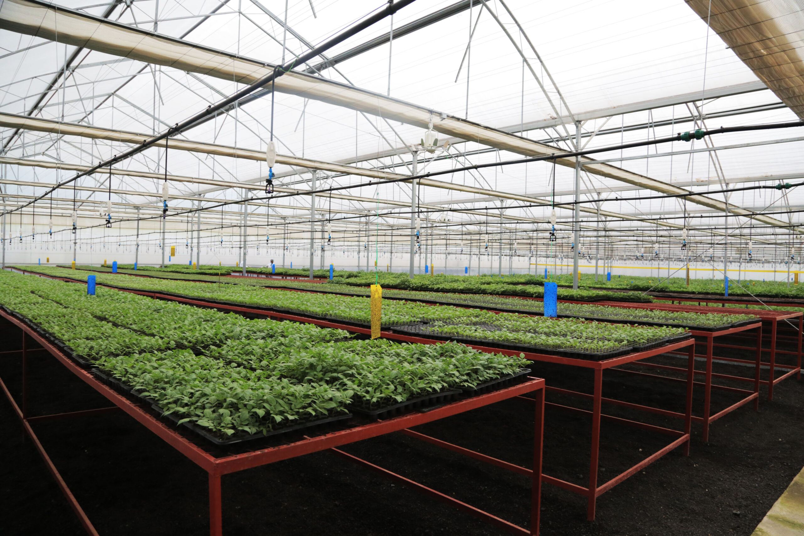 5i0a7748_38824977970_o